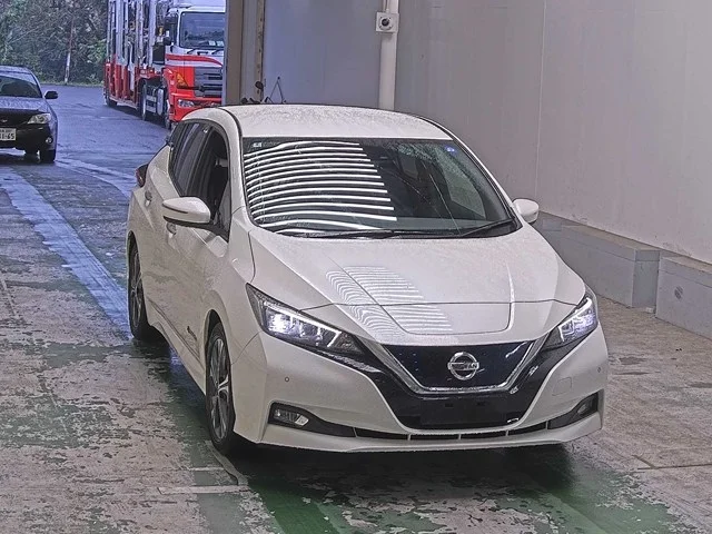 Nissan Leaf 2018