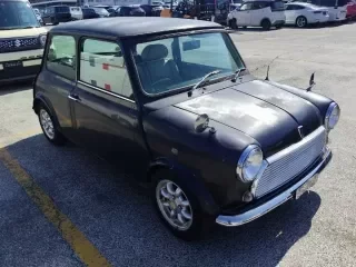 ROVER MINI