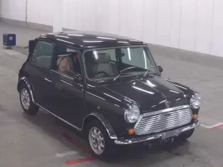 ROVER MINI