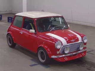 ROVER MINI