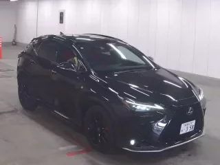 LEXUS NX 1