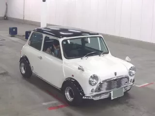 ROVER MINI