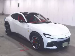 FERRARI PUROSANGUE