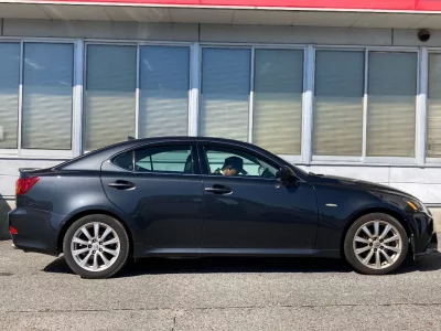 LEXUS IS