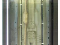 Suzuki Palette