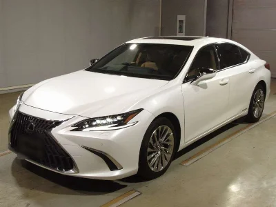 Lexus ES300h