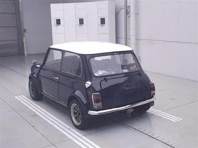 ROVER MINI