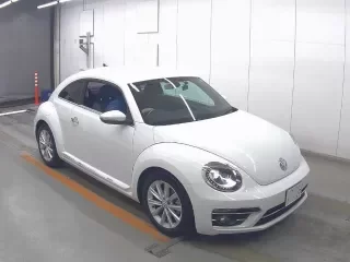 VOLKSWAGEN THE BEETLE