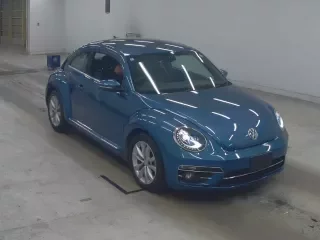 VOLKSWAGEN THE BEETLE