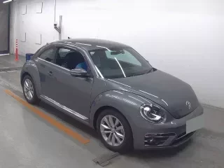 VOLKSWAGEN THE BEETLE
