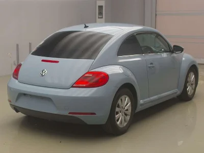 VOLKSWAGEN THE BEETLE