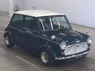 ROVER MINI