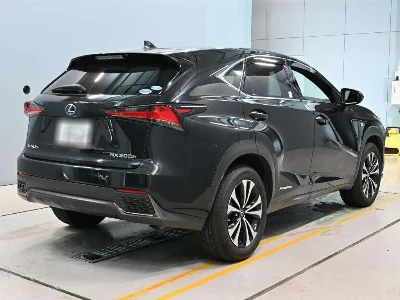 Lexus NX300h