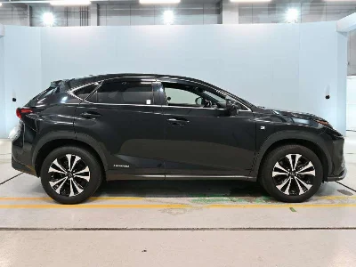 Lexus NX300h