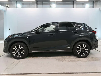 Lexus NX300h