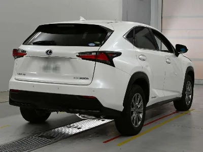 Lexus NX300h