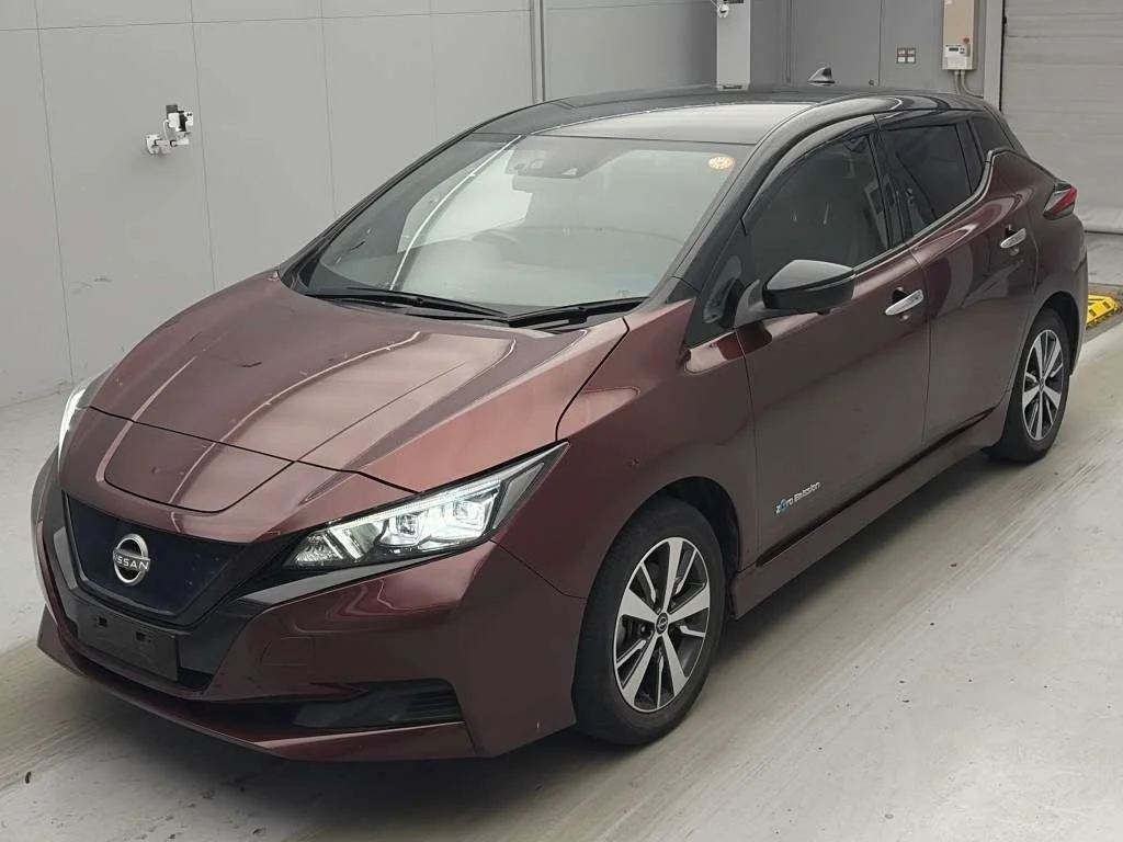 Nissan Leaf 2021