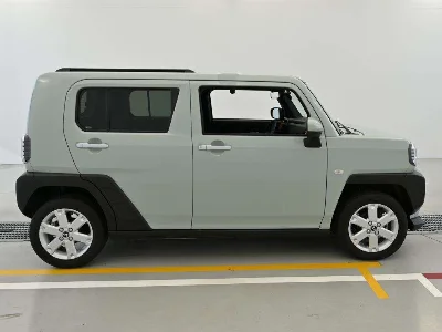 DAIHATSU TAFT 3
