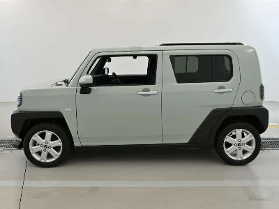 DAIHATSU TAFT 4