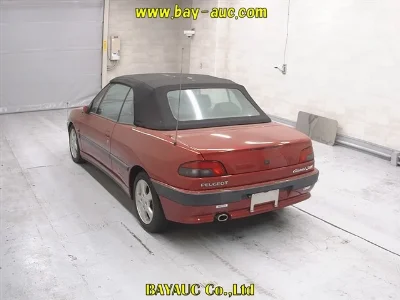 PEUGEOT 306