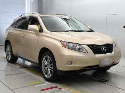 LEXUS RX