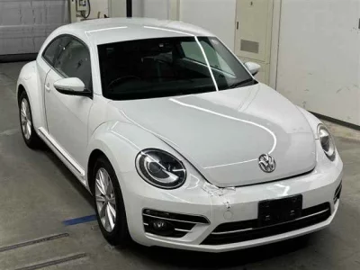 VOLKSWAGEN THE BEETLE