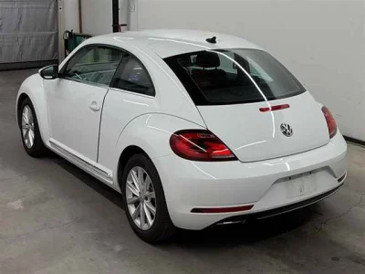 VOLKSWAGEN THE BEETLE