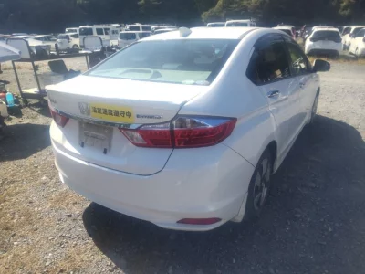 HONDA GRACE