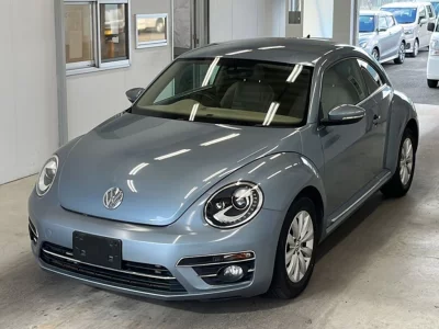VOLKSWAGEN THE BEETLE