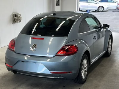 VOLKSWAGEN THE BEETLE