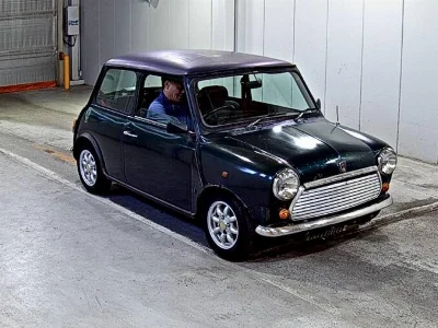 ROVER MINI