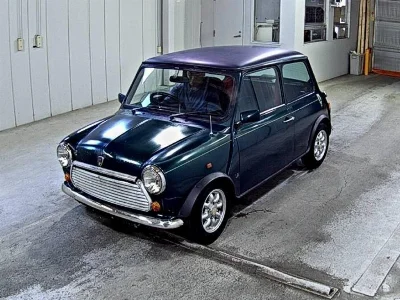 ROVER MINI