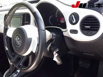VOLKSWAGEN THE BEETLE