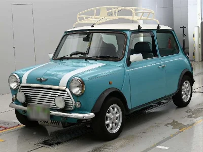 ROVER MINI