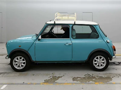 ROVER MINI