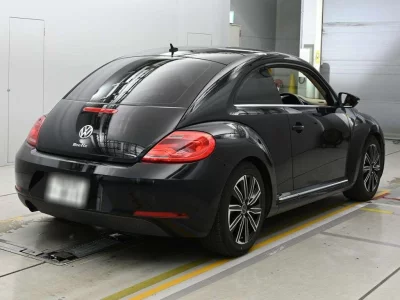 VOLKSWAGEN THE BEETLE