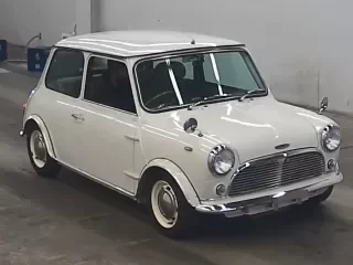 ROVER MINI