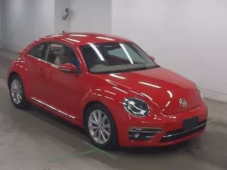 VOLKSWAGEN THE BEETLE