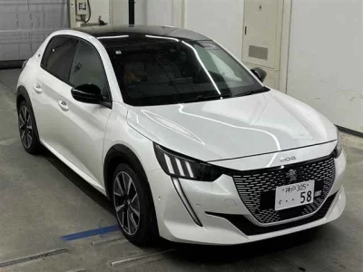 PEUGEOT E-208