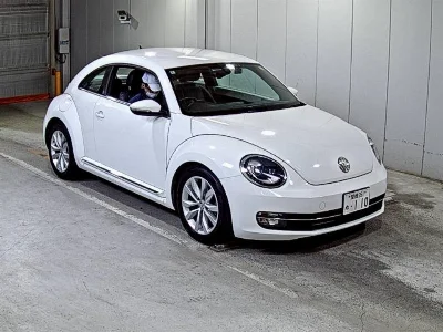 VOLKSWAGEN THE BEETLE
