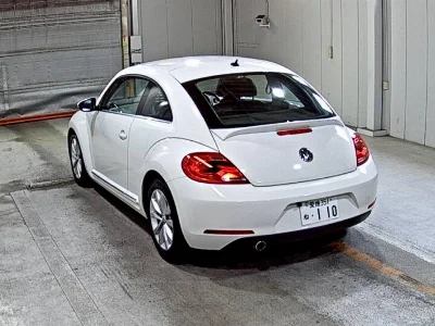 VOLKSWAGEN THE BEETLE