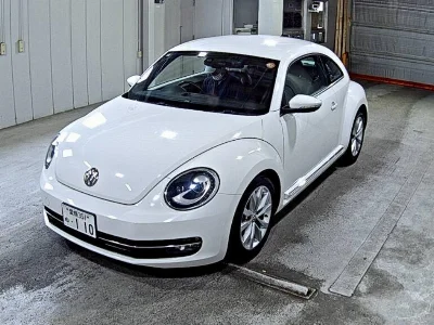 VOLKSWAGEN THE BEETLE