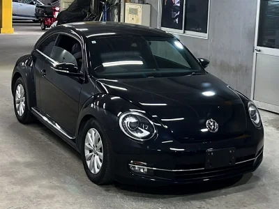 VOLKSWAGEN THE BEETLE