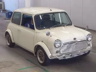 ROVER MINI