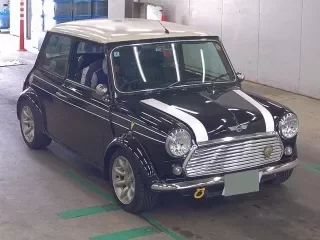 ROVER MINI