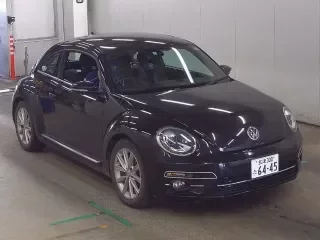 VOLKSWAGEN THE BEETLE
