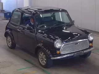 ROVER MINI