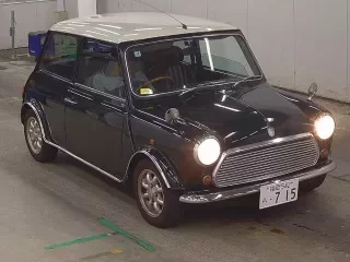 ROVER MINI