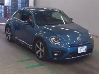 VOLKSWAGEN THE BEETLE