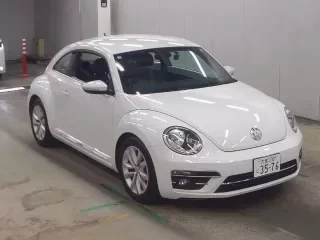 VOLKSWAGEN THE BEETLE